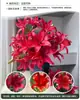 Plántulas de Flor de Lirio en Maceta con Capullos, Flores Frescas para Celebraciones de Año Nuevo, Plantas Fragantes para Arreglos Florales, Hidropónico, Adecuado para Decoración de Balcón Durante Todo el Año