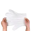 Guantes Desechables para Mascotas para Bañar Perros, Desodorantes, Limpieza de Gatos, Suministros para Mascotas, Paquete de 6 Toallitas Húmedas