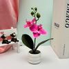 Planta en maceta de Phalaenopsis artificial transfronteriza con flores Decoración de escritorio Flor falsa de plástico Bonsái Fotografía Adornos para maceta Cabeza de flor