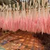 Fábrica en stock al por mayor decoración del hogar flor seca de caña pequeña accesorios para fotografía suministro transfronterizo de Amazon caña seca
