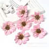 Cabeças de Flores Margaridas Simuladas, Flores Artificiais de Tecido de Seda, Acessórios de Flores Artificiais DIY, Decoração de Cena de Casamento, Arranjo de Flores de Fundo