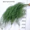 Hojas de Hierba de Espárrago Frescas, Flores para Bodas al Aire Libre, Materiales Florales para Bodas Estilo Bosque, Espárrago, Hierba de Espárrago, Hierba Bigote de Dragón para Manualidades