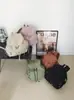 Mochila Casual de Nailon Impermeable de Gran Capacidad con Cierre de Cordón para Mujer 2025 Nueva Ligera Versátil Simple para Exteriores