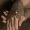 Guantes de Perlas 100% Cachemira Otoño/Invierno Nuevo Estilo para Mujer Dedos Medios Sin Dedos Tejido de Trenza Caliente Protección para Brazos Escritura