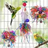 3 Peças Brinquedos para Pássaros Suprimentos para Mastigar Papagaio Ferramentas Bola de Rattan Madeira de Grama Combinação Transfronteiriça Conjunto de Brinquedos para Papagaio