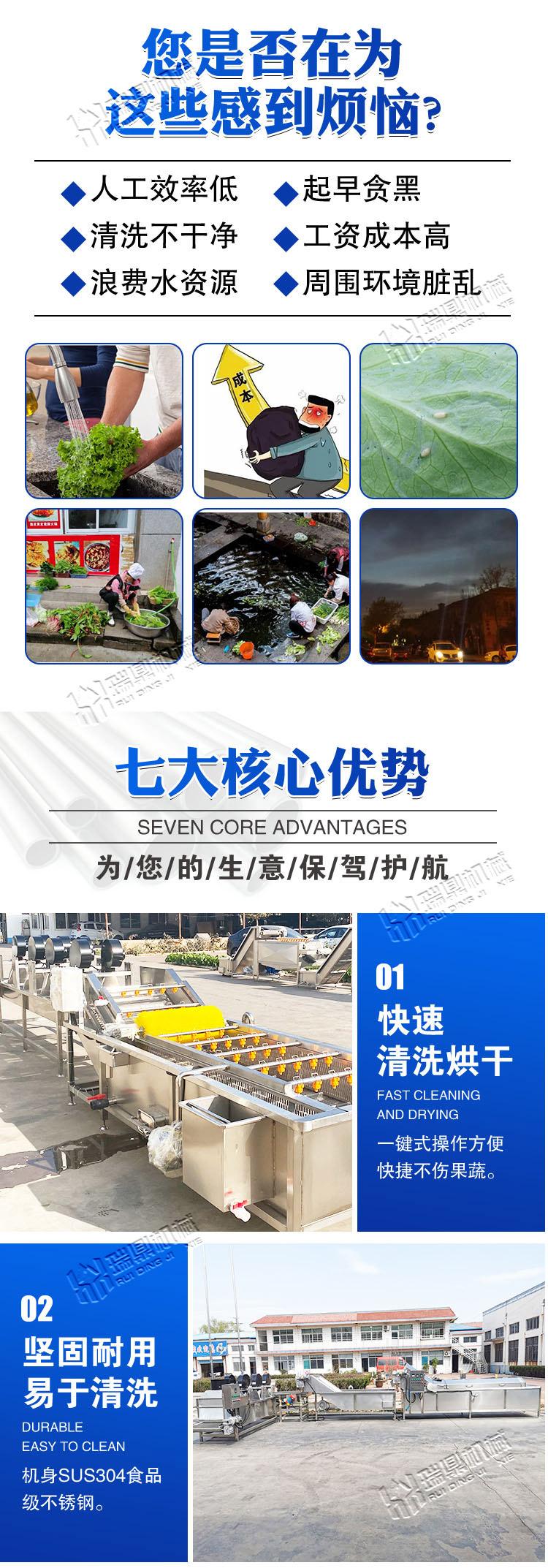 净菜加工1 (3).jpg