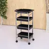 Nuevo Carrito de Peluquería Carro de Herramientas para Salón Estante de Almacenamiento Multifuncional Carrito con Barra para Peluquería Carrito para Permanente y Tinte de Barbería Venta al por Mayor