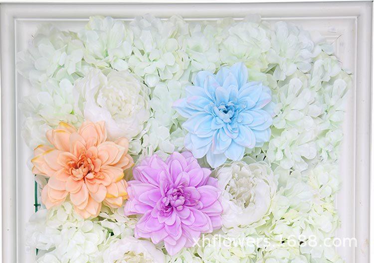 大丽菊花头_20.jpg