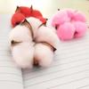 Accesorios para fotos de flores secas con cabeza de algodón hechos a mano, material para ramo, flor eterna, decoración creativa para el hogar, corona decorativa