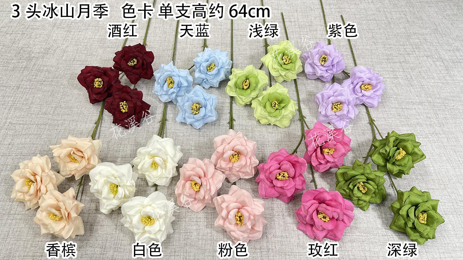 3头冰山月季-sxxrx 色卡 花溪谷.jpg