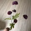 5 Bolas Pequenas de Cebolinha, Bolas Pequenas de Agulha, Flores Artificiais de Crisântemo, Adereços de Fotografia, Arranjos de Flores de Chão, Arranjos de Flores para Exterior, Flores Artificiais para Decoração de Casa