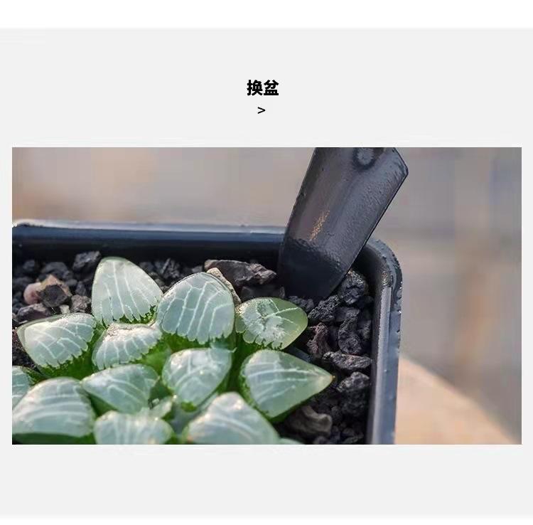 微信图片_2022031910193612