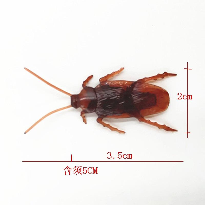 蟑螂
