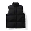Fábrica de origen chaleco otoño e invierno nuevo color sólido chaqueta de algodón moderna casual cálido sin mangas chaleco prenda exterior venta al por mayor para exportación
