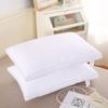 Núcleo de Almohada Seersucker Transfronterizo Dormitorio de Estudiantes Proteína Almohada Alta y Baja Hogar Lavable Núcleo de Almohada Venta al por Mayor