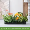 Hc-Cd3 Arreglo de Macetero de Flores de Planta Verde Simulada Combinación de Partición de Plantas Decoración de Paisajismo con Flores Artificiales Flores Falsas