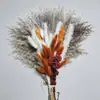 Ramo de Flores Secas, Hierba de la Pampa Más Vendida de Amazon, Juncia, Gypsophila, Flores Secas Serie Rosa, Regalo para el Día de San Valentín Chino y Navidad