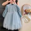 Vestido Princesa Inverno 2026 Novo Estilo para Meninas, Vestido de Aniversário com Forro de Lã, Tule Bufante e Elaborado Design de Gelo e Neve