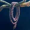 Pulsera Rosario Estilo Étnico Sándalo Rojo 108 Pulsera de Sándalo Rojo Material Viejo Alta Densidad Cuentas de Buda Pulsera de Madera para Hombres y Mujeres Venta al por Mayor