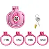 Producto Estándar Meituan Reproductor LiPu Serie SM 2 Candado de Castidad Plano de Metal con Catéter Urinario Juguetes Sexuales para Adultos