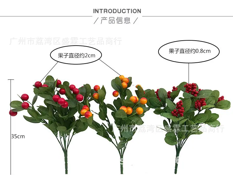 发财果-红果_02.jpg