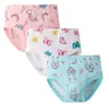 Ropa Interior para Niñas Europeas y Americanas, Ropa Interior Infantil, Calzones Transpirables de Algodón Puro acanalado, Ropa Interior para Niñas Estudiantes al por Mayor