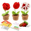 Paquete de Materiales de Crochet Más Vendido de Amazon Serie de Plantas Adornos de Flores en Maceta Regalos Soporte Dropshipping