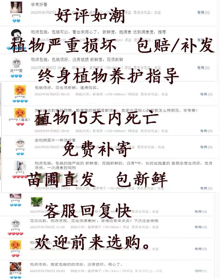 7ce32a9f-baac-478d-a8d1-3c3a6a