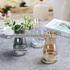 Vaso de vidro nórdico fresco colorido galvanoplastia criativo sala de estar simples mesa de trabalho flores de captação de água arranjo de flores transparentes ornamentos