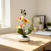 Três Flores Duas Folhas Uma Folha Orquídea Phalaenopsis Planta em Vaso Simulação Mesa de Jantar Hotel Sensação Flor Artificial Bonsai de Pedras Ornamentação de Planta Verde