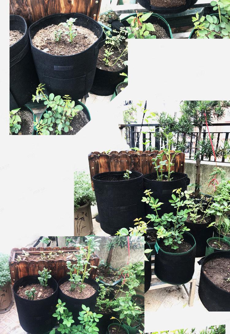 10730966300_491840608