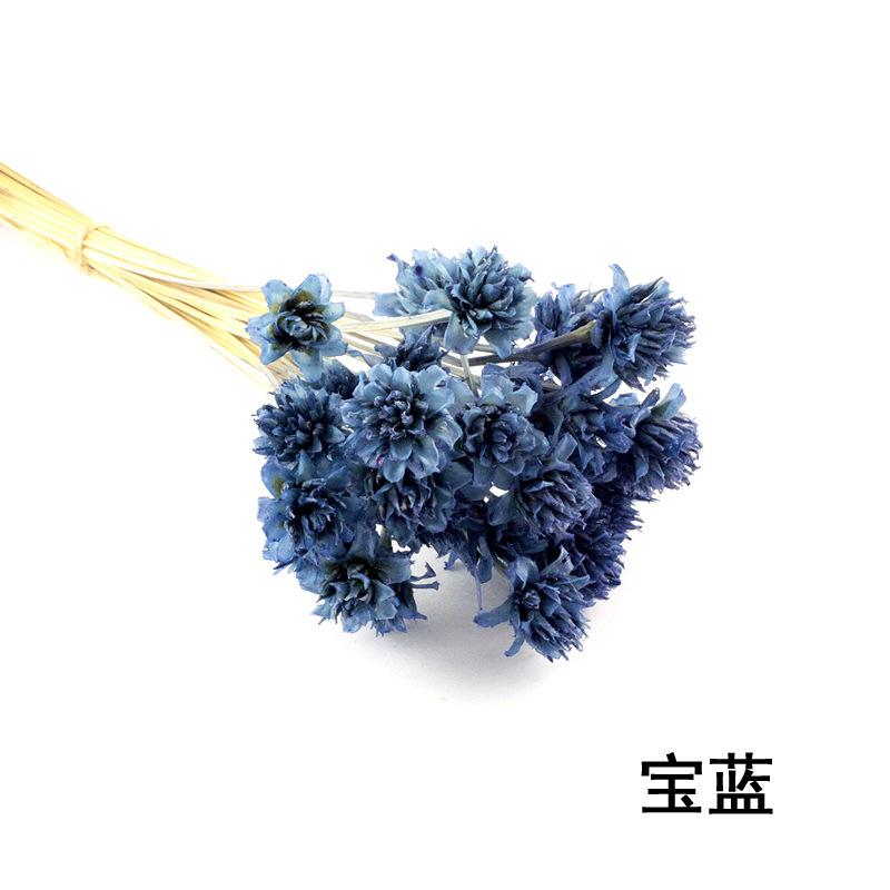 永生花宝蓝.jpg