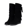 Nuevas Botas Casuales de Tacón Alto con Plataforma Interior de Agua de Caña Media con Borlas Botas de Algodón Tallas Grandes 40-43 Botas de Comercio Exterior