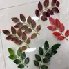 Folhas de Rosa com Espinhos Artificiais Folhagem de Outono Pendente de Parede Cachos Grandes de Cipós Galhos Finos Folhas de 7 Folhas Folhas de 9 Folhas Acessórios Folhas de Salgueiro Falsas Decorativas