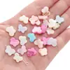 Pulseira Flor de Ameixa Estrela de Quatro Pontas de Concha Natural Coração de Pêssego Colar Feito à Mão DIY Caseiro Acessórios de Joias com Contas Saco de Material