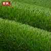 Grama Artificial Banheiro Pet Gramado Tapete de Troca Varanda Gramado Simulada Decoração Pet Gramado de Corte Fornecimento Transfronteiriço