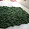 Musgo filamentoso de pelo blanco musgo de lana de hierba musgo verde artificial arreglo de paisaje césped bonsái plantación en maceta