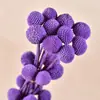 Bolas Doradas del Fabricante, Flores Naturales Reales, Materiales para Manualidades, Decoración del Hogar para la Sala de Estar, Arreglos Florales, Adornos de Flores Secas, Martillos Dorados