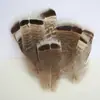 Venda Direta de Fábrica de Quase 100 Tipos de Acessórios Naturais de Penas Pequenas para Joias DIY, Acessórios de Cabeça, Broches, Chapéus, Materiais de Decoração para Artesanato