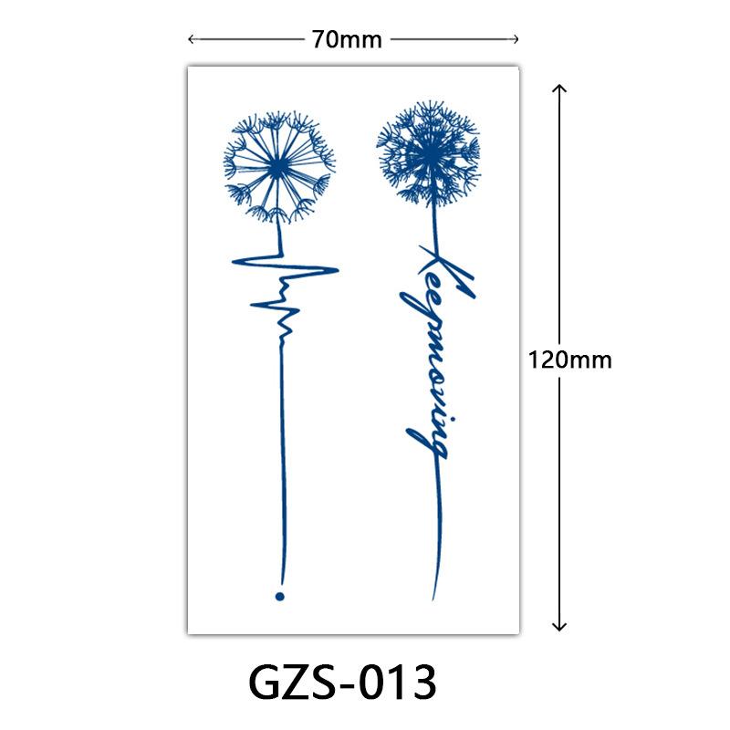 GZS-013
