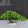 Decoração de Enfeite de Mesa Pinheiro Bem-vindo Pequeno Pinheiro Plantas Verdes Plantas Aquáticas Mini Rochedo Aquário Paisagismo Hotel