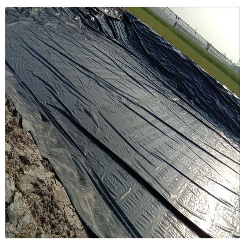 39697a766a554bdb80a1197ab0a89f