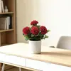 Venta Directa de Fábrica de 5 Arreglos Florales Artificiales de Claveles, Regalo para el Día de la Madre, Maceta Artificial Creativa para Sala de Estar y Mesa de Comedor