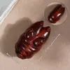Talla de sándalo Pata de Cerdo Pieza de Mano Forma de Pata de Cerdo Plato de Juego Pieza de Madera Artesanía de Madera Cerdo Mano Pieza Pequeña