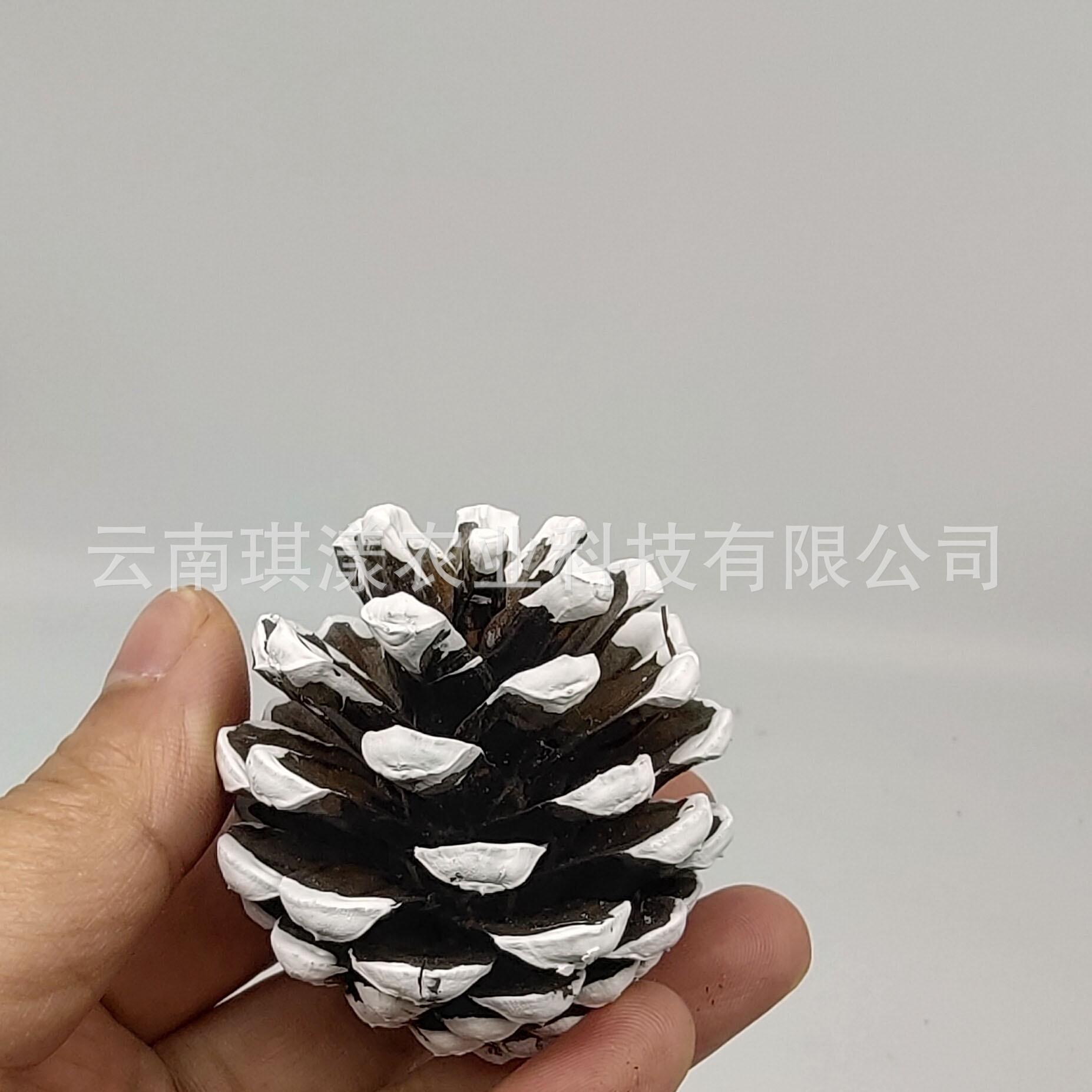 微信图片_20201016103621.jpg