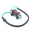 Bobina de encendido para motor fueraborda Yamaha de 2 tiempos (25 HP, 30 HP) 61N-81313-09/61N-81313-00