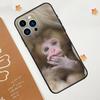 Capa de celular adequada para iPhone 15, limpa, fofa, macaquinho, natureza
