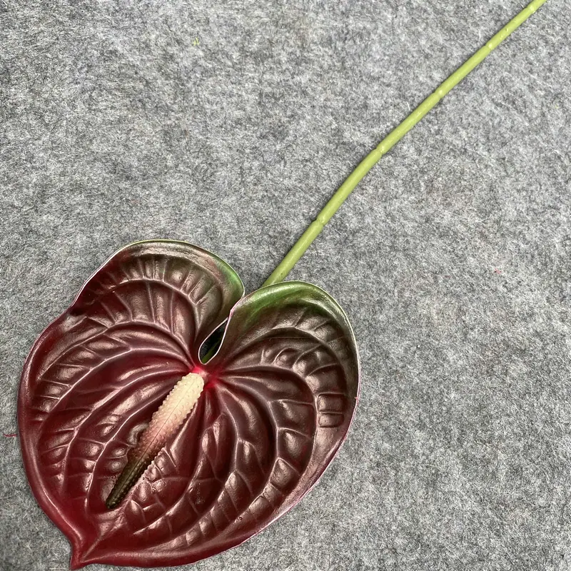 黑紫绿边色.JPG