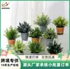 Plantas Artificiales Bai Feng Plantas Artificiales en Maceta Estilo Escandinavo Bonsái Decoración del Hogar Jardinería Artificial Venta al por Mayor en Representación
