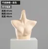 Utilería modelo de ropa interior hombres y mujeres medio cuerpo sujetador recogido ropa interior maniquí de plástico exhibición de escaparate soporte de exhibición modelo